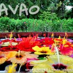 Mayumi's Wishing Well