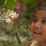 Niño