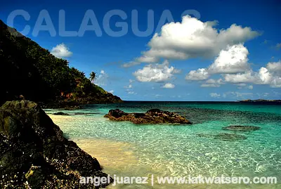 calaguas tour