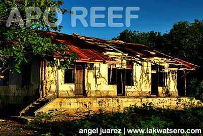 Apo Reef