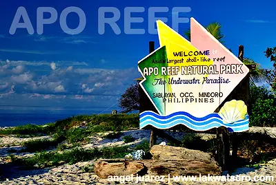 Apo Reef