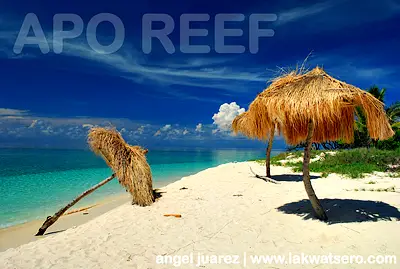 Apo Reef