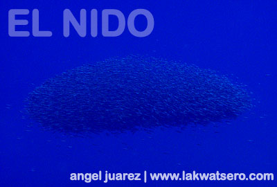 El Nido