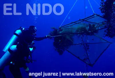 El Nido