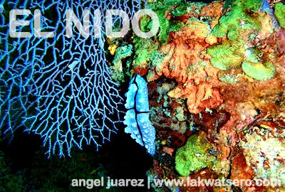 El Nido