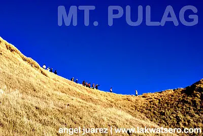 Mt. Pulag