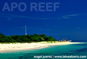 Apo Island and Lighthouse