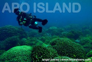 Apo Island