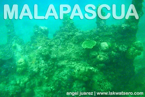 Snorkeling in Malapascua