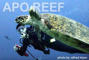 Dive Apo Reef