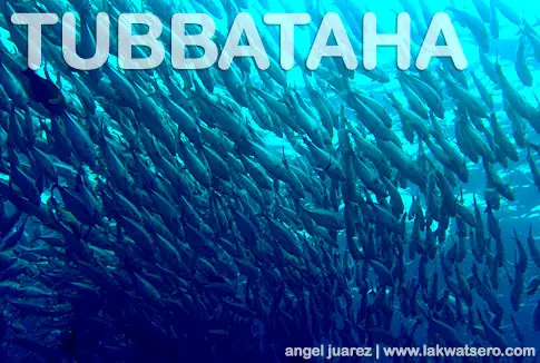 Tubbataha Tubbataha