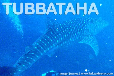 Tubbataha Tubbataha