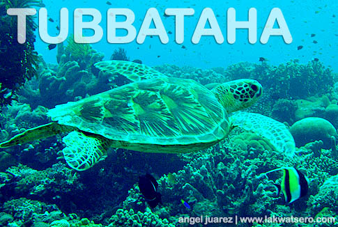 Tubbataha Tubbataha