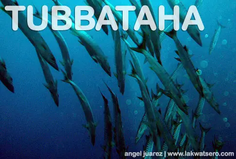 Tubbataha Tubbataha