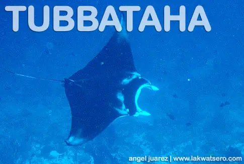 Tubbataha Tubbataha
