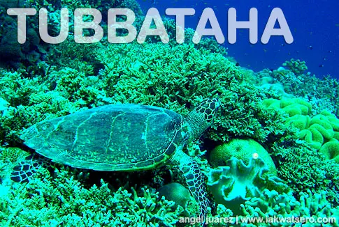 Tubbataha Tubbataha