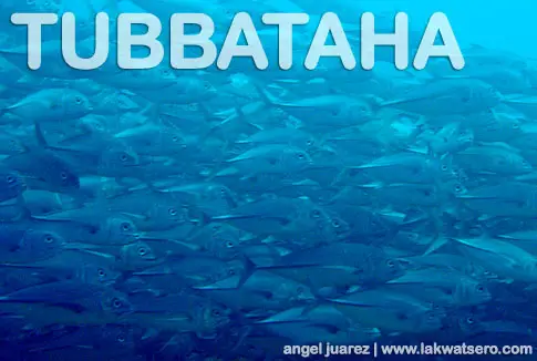 Tubbataha Tubbataha