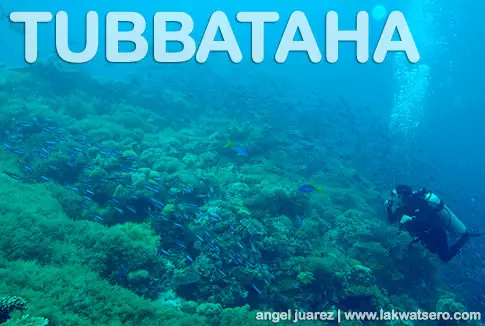 Tubbataha Tubbataha