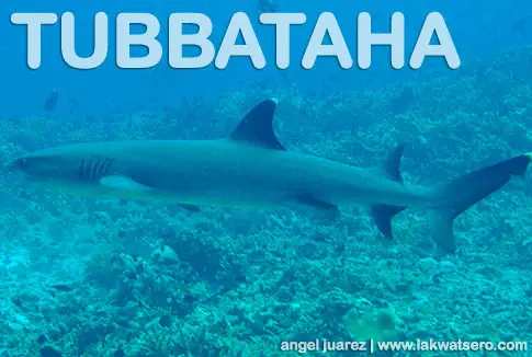 Tubbataha Tubbataha