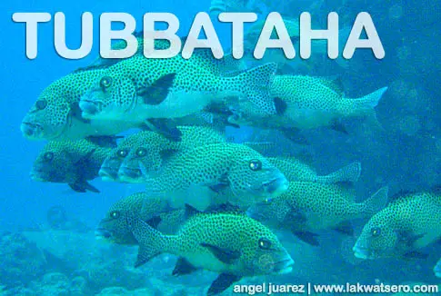 Tubbataha Tubbatah