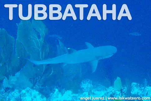 Tubbataha Tubbataha