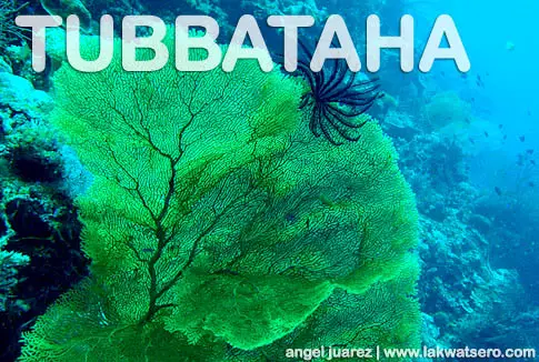 Tubbataha Tubbataha