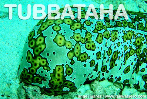 Tubbataha Tubbataha