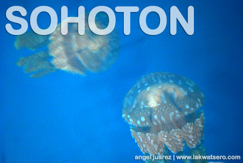 Tojoman Lagoon Tojoman Lagoon