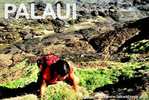 Palaui Palaui