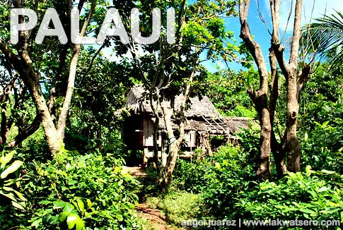 Palaui Palaui