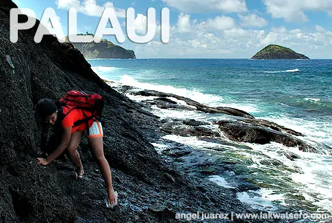 Palaui Palaui