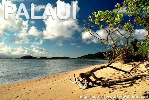 Palaui Palaui