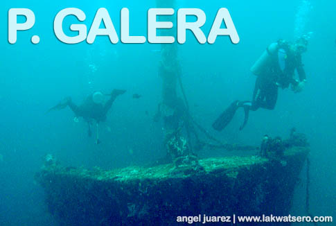 Diving in Puerto Galera Diving in Puerto Galera