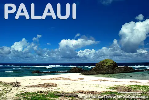 Palaui Palaui