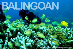 Diving in Balingoan