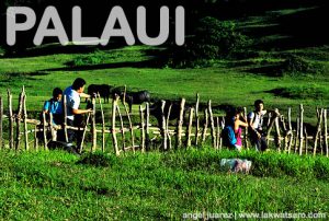 Palaui Island