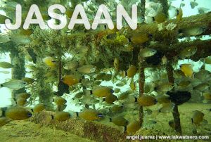 Agutayan Island Marine Sanctuary