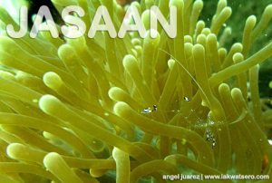 Agutayan Island Marine Sanctuary