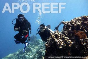 Apo Reef