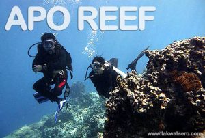 Apo Reef