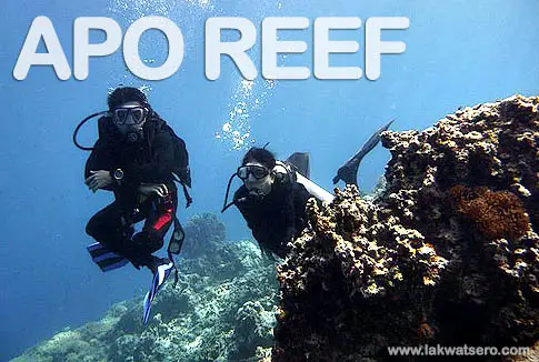 Apo Reef Apo Reef