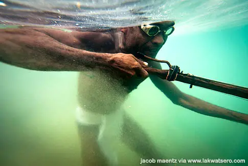 An Agta man catching a fish