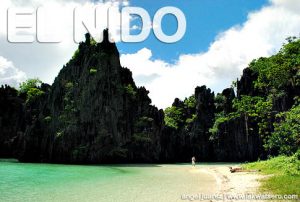 El NIdo