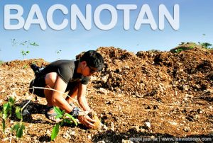 Bacnotan