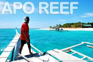 Apo Reef