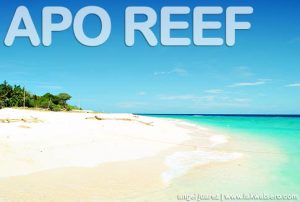 Apo Reef