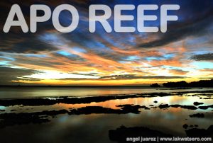 Apo Reef