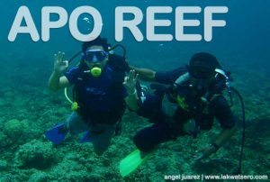 Apo Reef