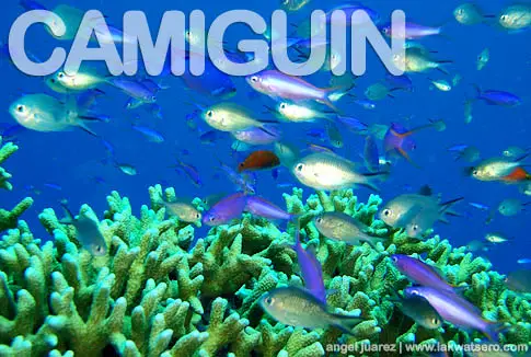 Camiguin Camiguin