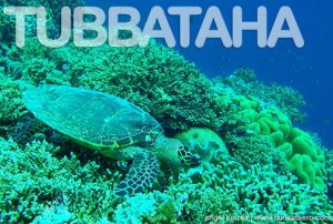 Tubbataha